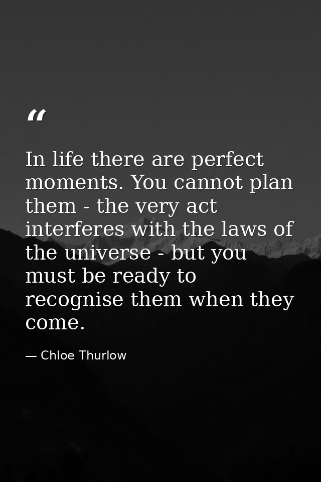 In life there are perfect moments. You cannot plan them - the very act interferes with the laws of the universe - but yo — Chloe Thurlow