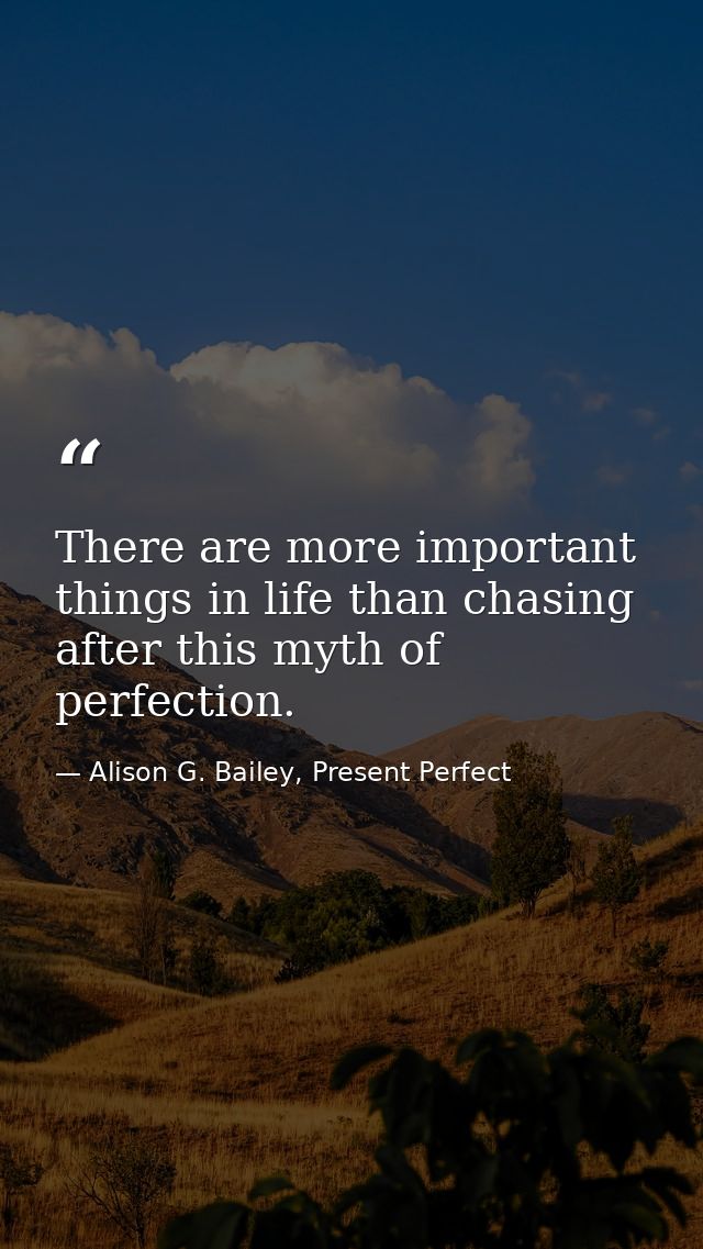There are more important things in life than chasing after this myth of perfection. — Alison G. Bailey, Present Perfect
