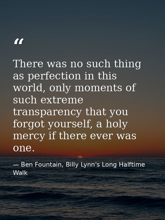 There was no such thing as perfection in this world, only moments of such extreme transparency that you forgot yourself, — Ben Fountain, Billy Lynn's Long Halftime Walk