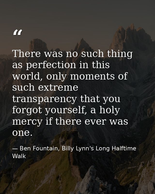 There was no such thing as perfection in this world, only moments of such extreme transparency that you forgot yourself, — Ben Fountain, Billy Lynn's Long Halftime Walk
