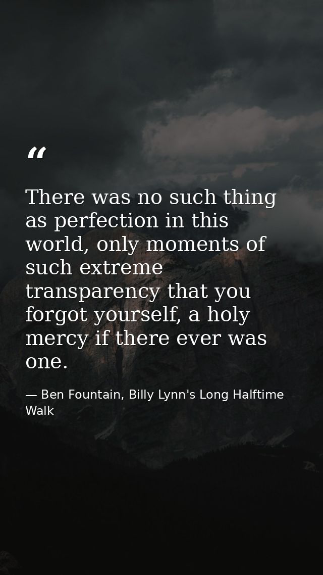 There was no such thing as perfection in this world, only moments of such extreme transparency that you forgot yourself, — Ben Fountain, Billy Lynn's Long Halftime Walk