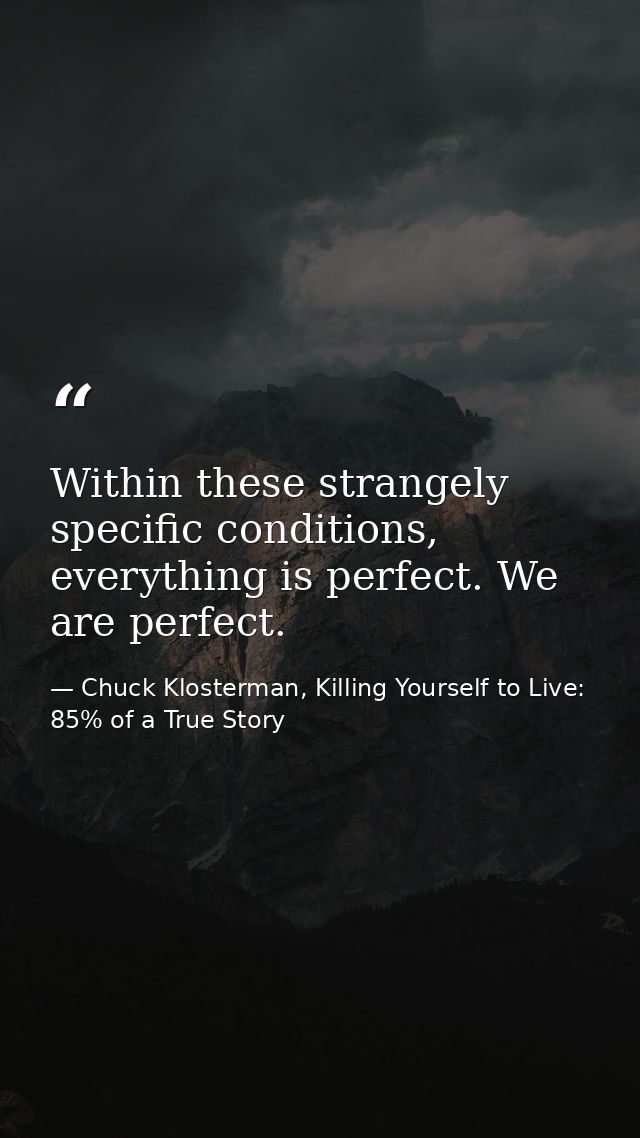 Within these strangely specific conditions, everything is perfect. We are perfect. — Chuck Klosterman, Killing Yourself to Live: 85% of a True Story