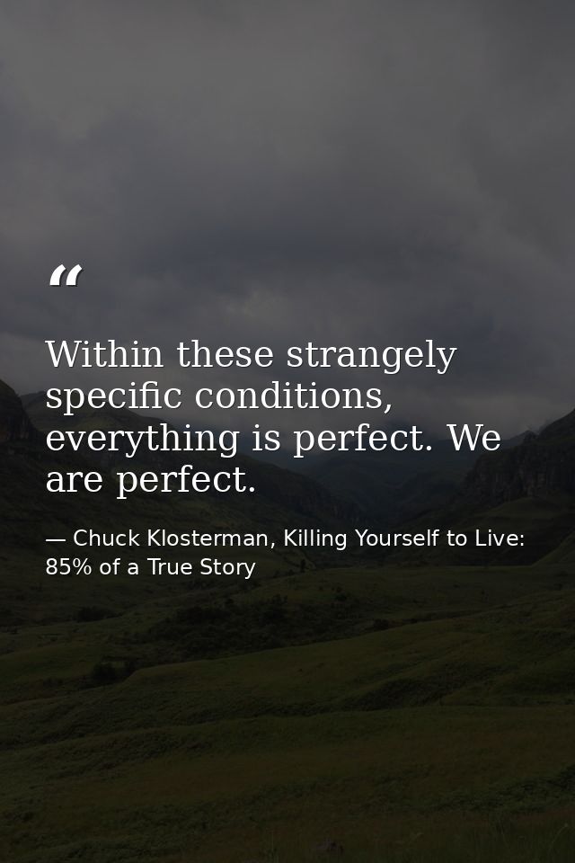 Within these strangely specific conditions, everything is perfect. We are perfect. — Chuck Klosterman, Killing Yourself to Live: 85% of a True Story