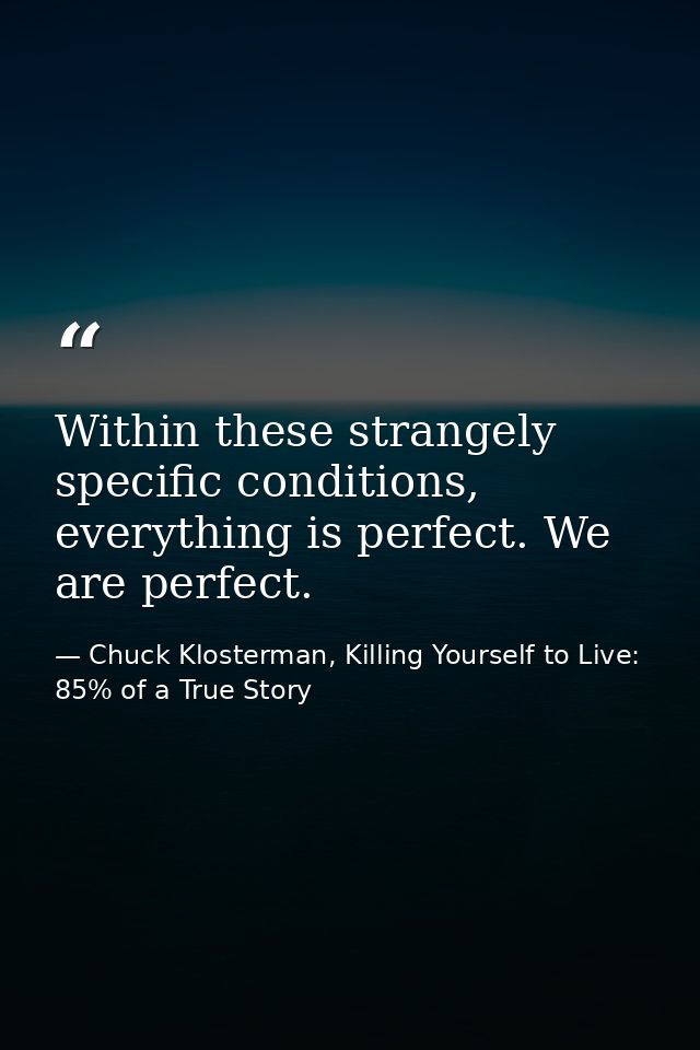 Within these strangely specific conditions, everything is perfect. We are perfect. — Chuck Klosterman, Killing Yourself to Live: 85% of a True Story