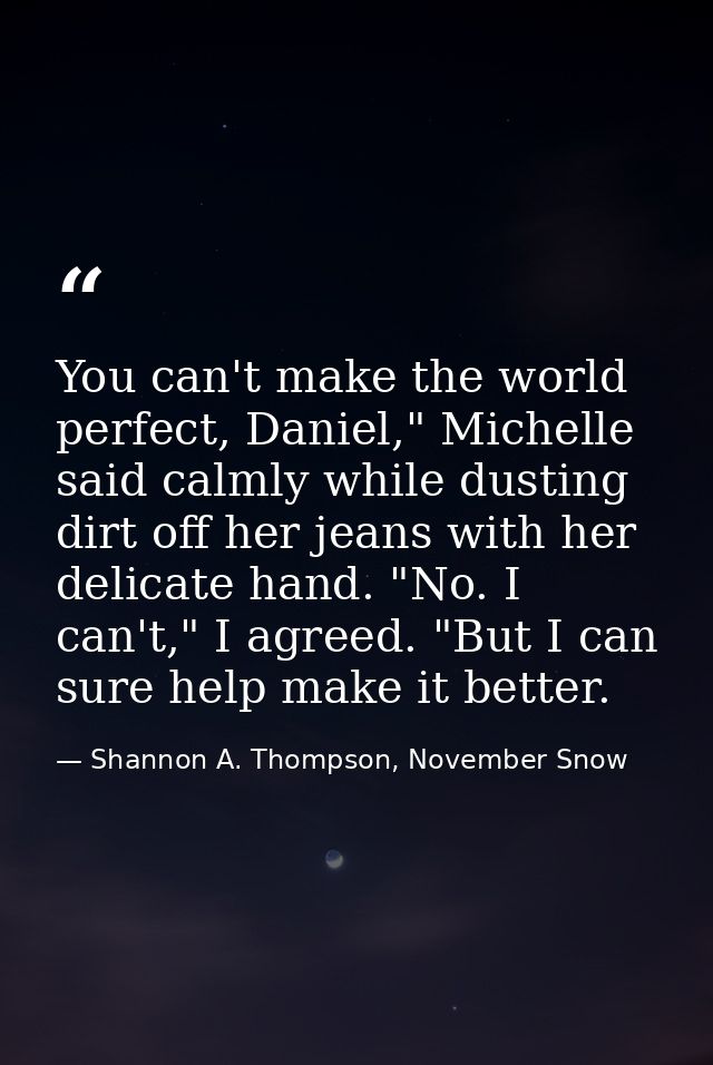 You can't make the world perfect, Daniel," Michelle said calmly while dusting dirt off her jeans with her delicate hand. — Shannon A. Thompson, November Snow