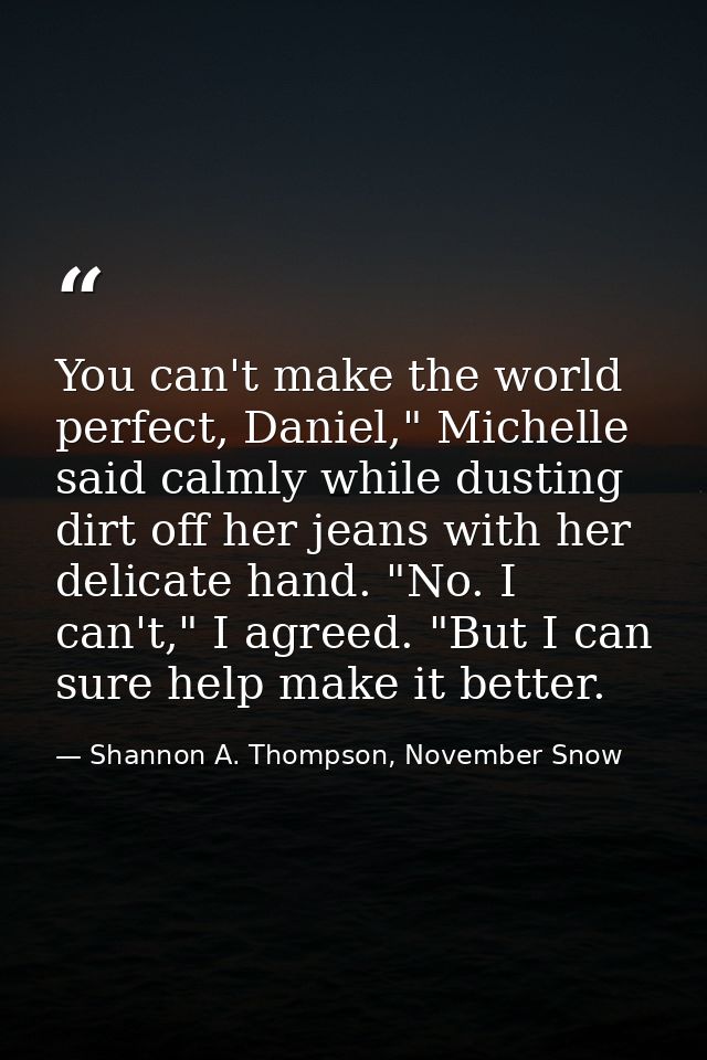 You can't make the world perfect, Daniel," Michelle said calmly while dusting dirt off her jeans with her delicate hand. — Shannon A. Thompson, November Snow
