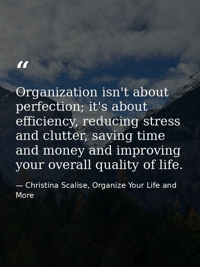 Organization isn't about perfection; it's about efficiency, reducing stress and clutter, saving time and money and impro — Christina Scalise, Organize Your Life and More