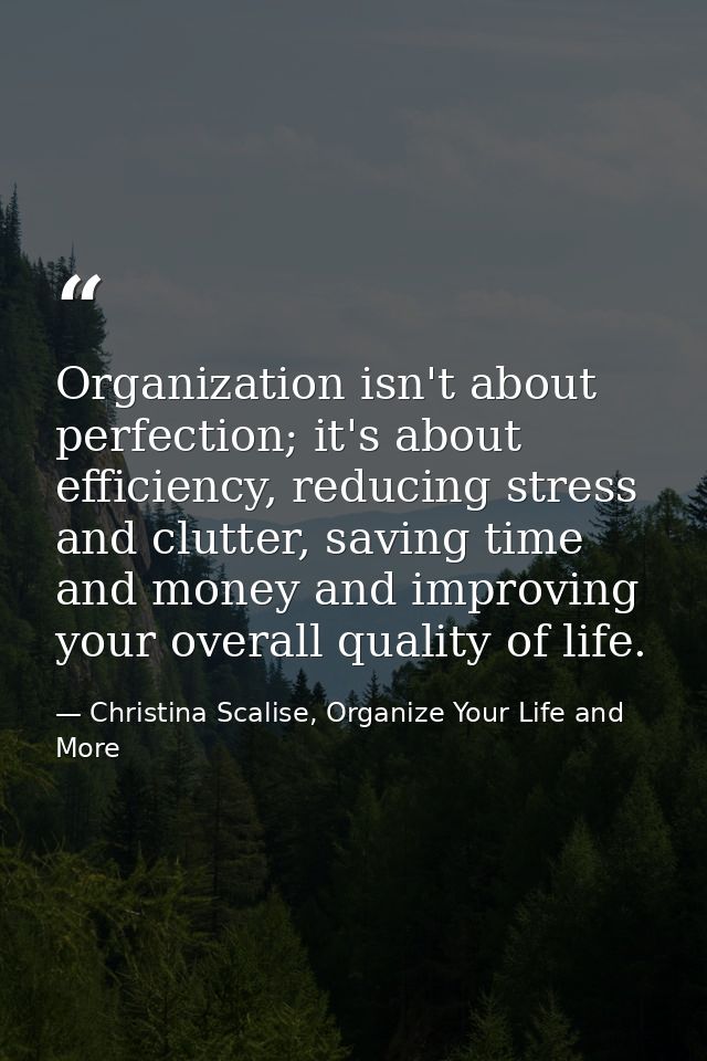 Organization isn't about perfection; it's about efficiency, reducing stress and clutter, saving time and money and impro — Christina Scalise, Organize Your Life and More