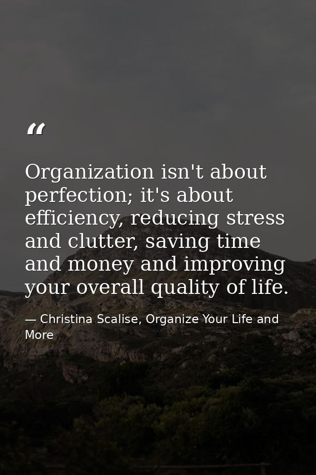 Organization isn't about perfection; it's about efficiency, reducing stress and clutter, saving time and money and impro — Christina Scalise, Organize Your Life and More