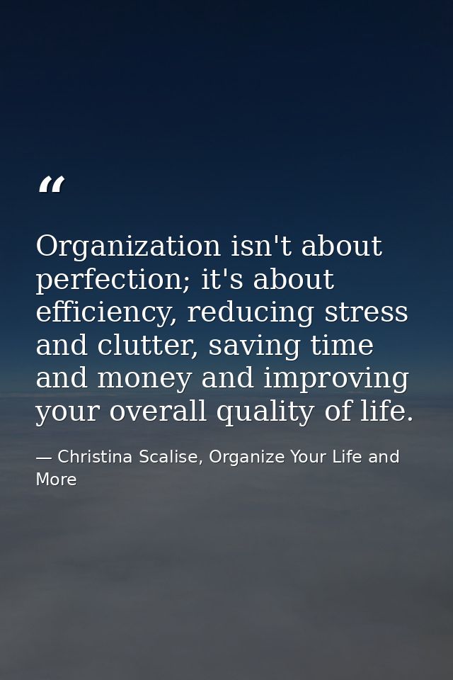 Organization isn't about perfection; it's about efficiency, reducing stress and clutter, saving time and money and impro — Christina Scalise, Organize Your Life and More