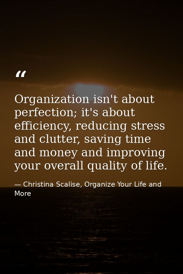 Organization isn't about perfection; it's about efficiency, reducing stress and clutter, saving time and money and impro — Christina Scalise, Organize Your Life and More