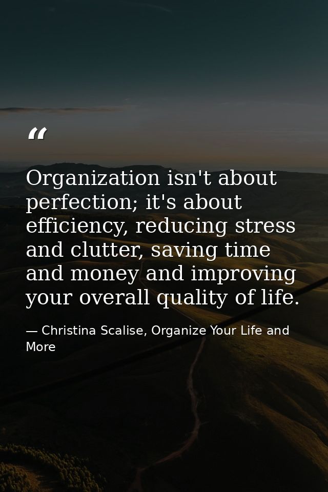 Organization isn't about perfection; it's about efficiency, reducing stress and clutter, saving time and money and impro — Christina Scalise, Organize Your Life and More