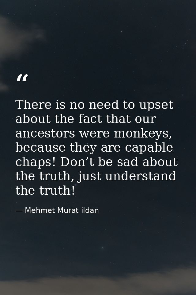 There is no need to upset about the fact that our ancestors were monkeys, because they are capable chaps! Don’t be sad a — Mehmet Murat ildan
