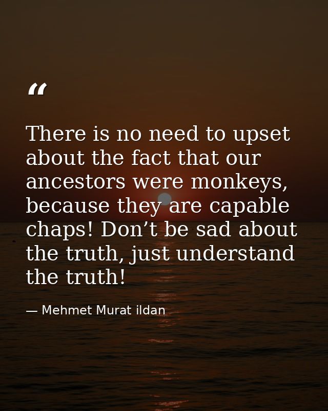 There is no need to upset about the fact that our ancestors were monkeys, because they are capable chaps! Don’t be sad a — Mehmet Murat ildan
