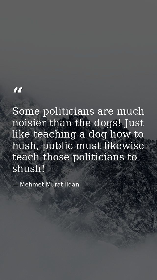 Some politicians are much noisier than the dogs! Just like teaching a dog how to hush, public must likewise teach those  — Mehmet Murat ildan