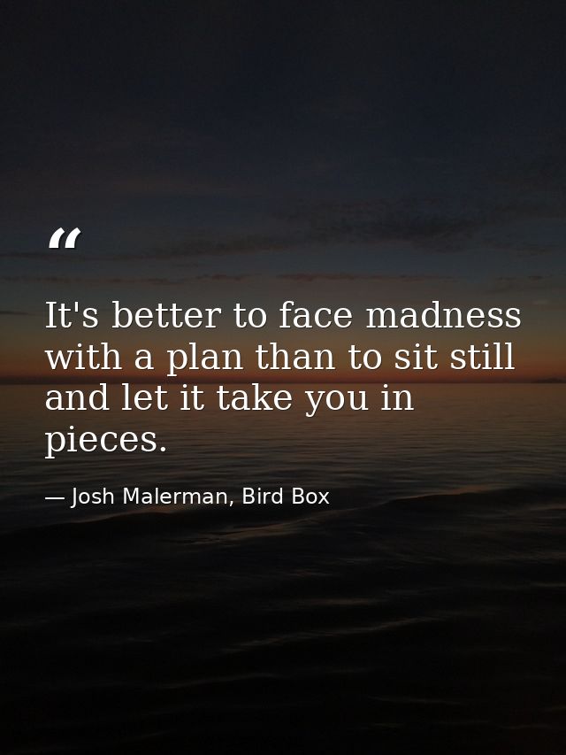 It's better to face madness with a plan than to sit still and let it take you in pieces. — Josh Malerman, Bird Box