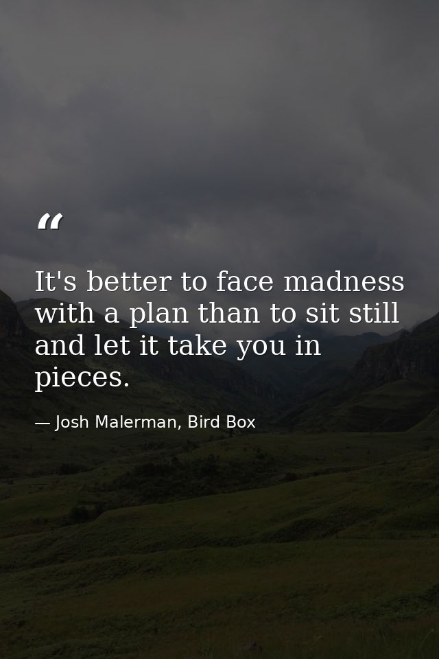 It's better to face madness with a plan than to sit still and let it take you in pieces. — Josh Malerman, Bird Box