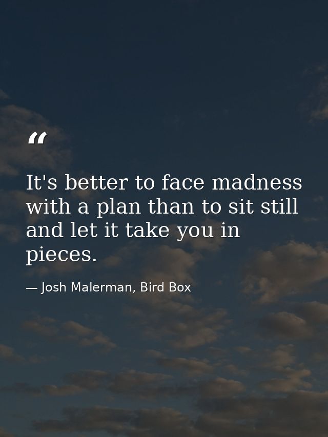 It's better to face madness with a plan than to sit still and let it take you in pieces. — Josh Malerman, Bird Box