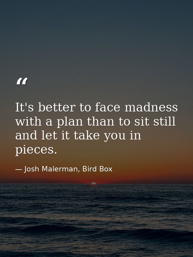 It's better to face madness with a plan than to sit still and let it take you in pieces. — Josh Malerman, Bird Box