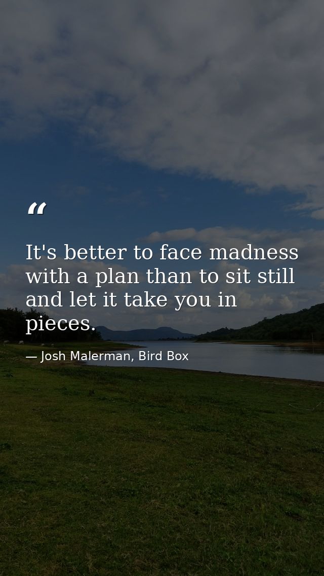 It's better to face madness with a plan than to sit still and let it take you in pieces. — Josh Malerman, Bird Box