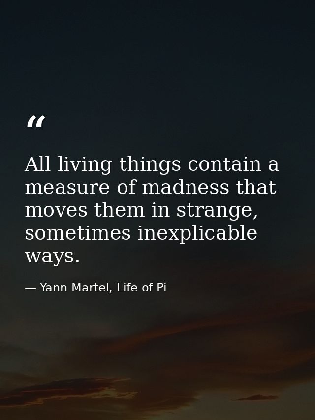 All living things contain a measure of madness that moves them in strange, sometimes inexplicable ways. — Yann Martel, Life of Pi