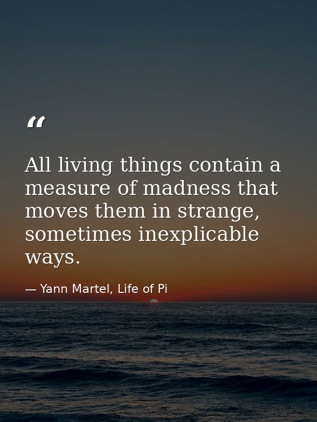 All living things contain a measure of madness that moves them in strange, sometimes inexplicable ways. — Yann Martel, Life of Pi