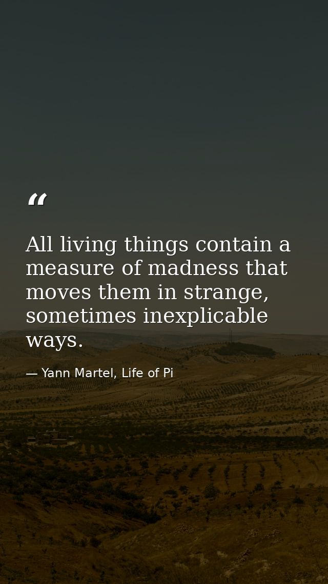 All living things contain a measure of madness that moves them in strange, sometimes inexplicable ways. — Yann Martel, Life of Pi