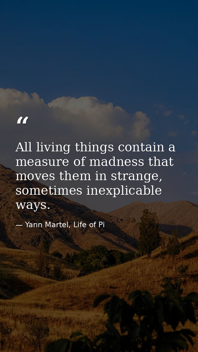 All living things contain a measure of madness that moves them in strange, sometimes inexplicable ways. — Yann Martel, Life of Pi
