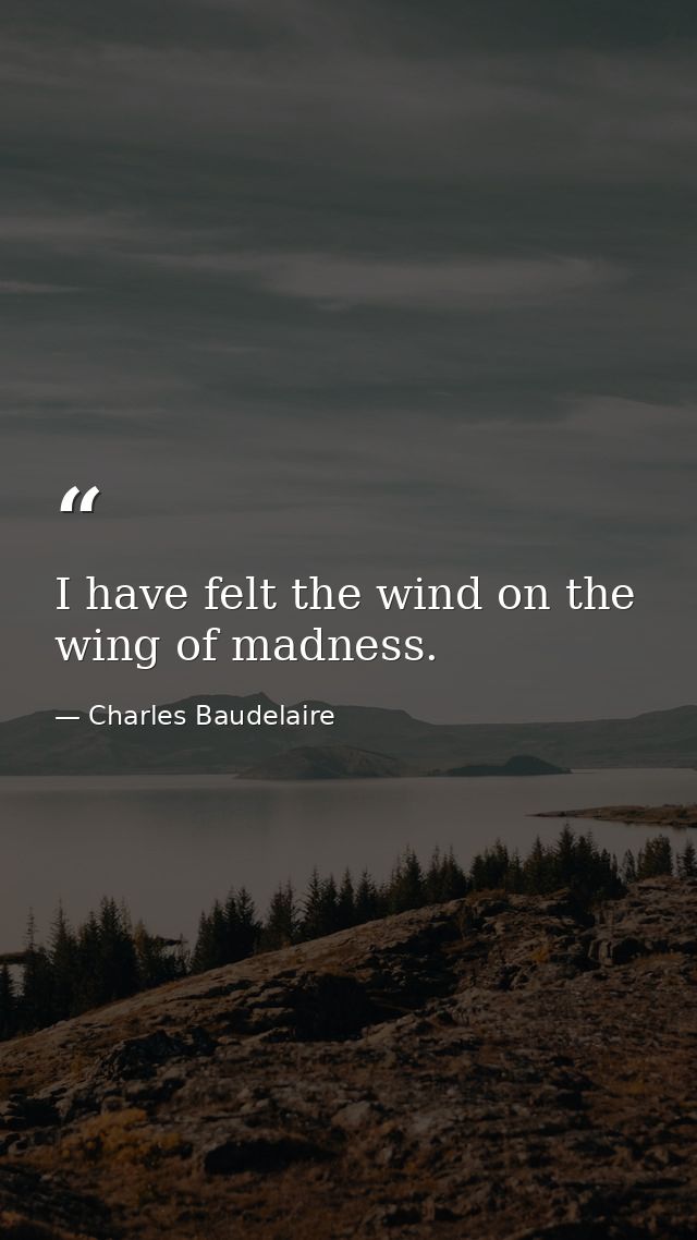 I have felt the wind on the wing of madness. — Charles Baudelaire
