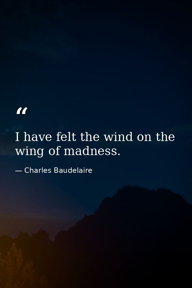 I have felt the wind on the wing of madness. — Charles Baudelaire