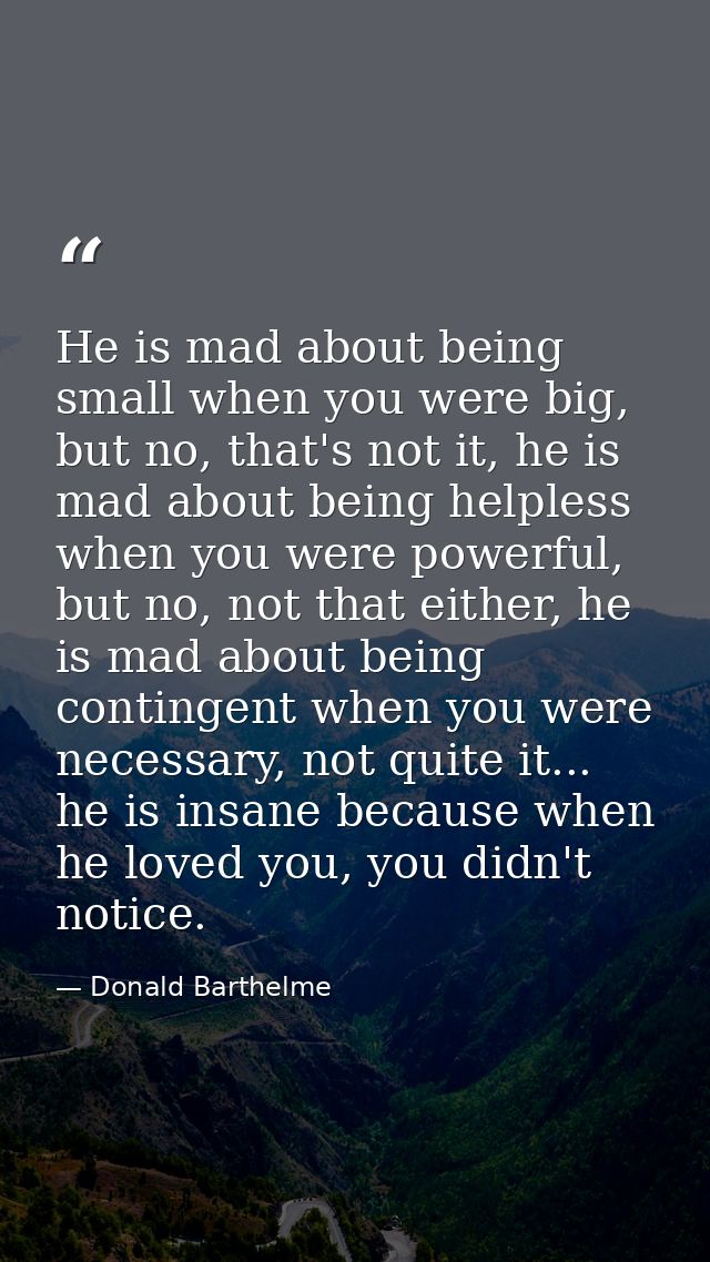 He is mad about being small when you were big, but no, that's not it, he is mad about being helpless when you were power — Donald Barthelme