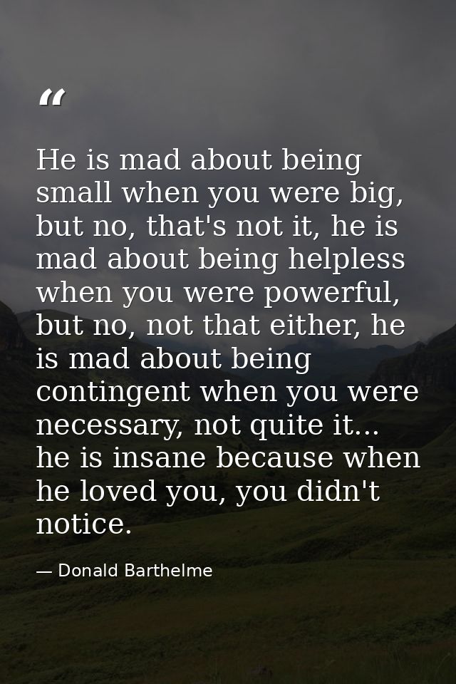 He is mad about being small when you were big, but no, that's not it, he is mad about being helpless when you were power — Donald Barthelme