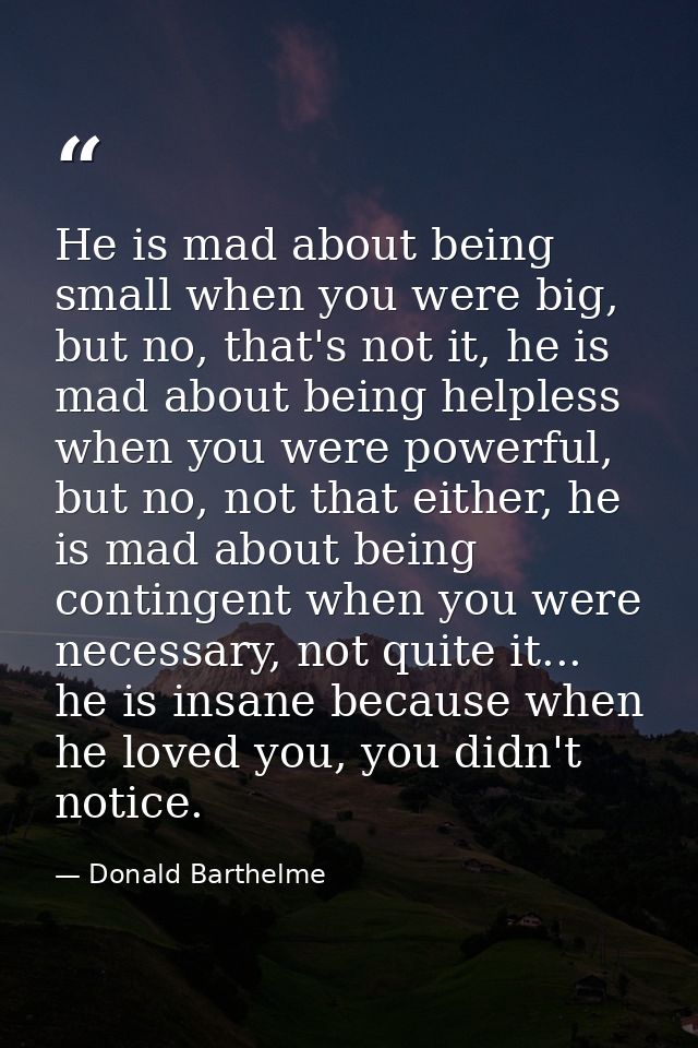 He is mad about being small when you were big, but no, that's not it, he is mad about being helpless when you were power — Donald Barthelme