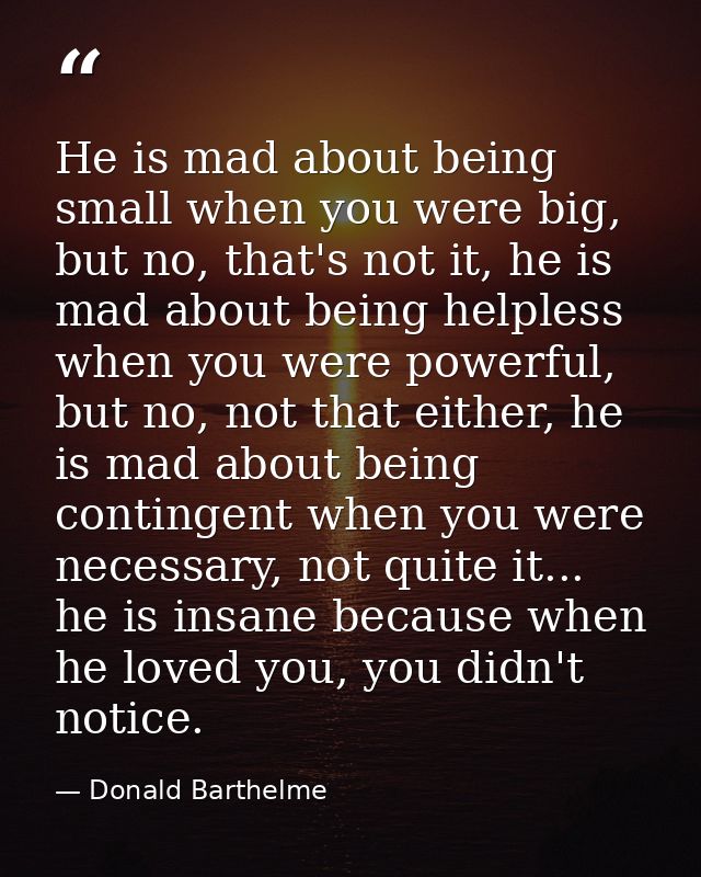 He is mad about being small when you were big, but no, that's not it, he is mad about being helpless when you were power — Donald Barthelme