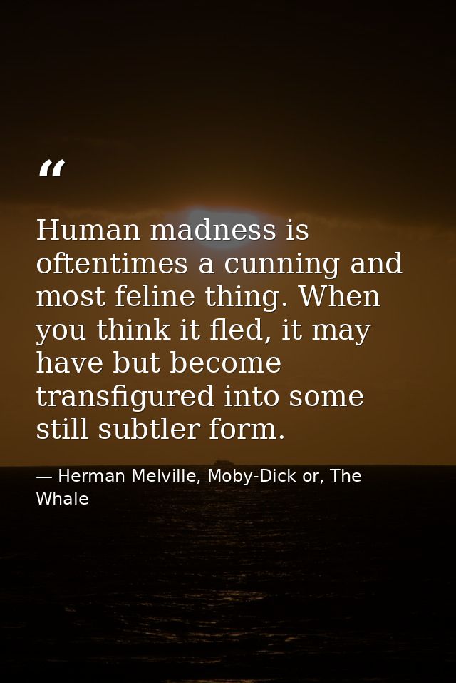 Human madness is oftentimes a cunning and most feline thing. When you think it fled, it may have but become transfigured — Herman Melville, Moby-Dick or, The Whale
