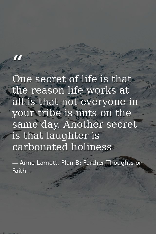 One secret of life is that the reason life works at all is that not everyone in your tribe is nuts on the same day. Anot — Anne Lamott, Plan B: Further Thoughts on Faith