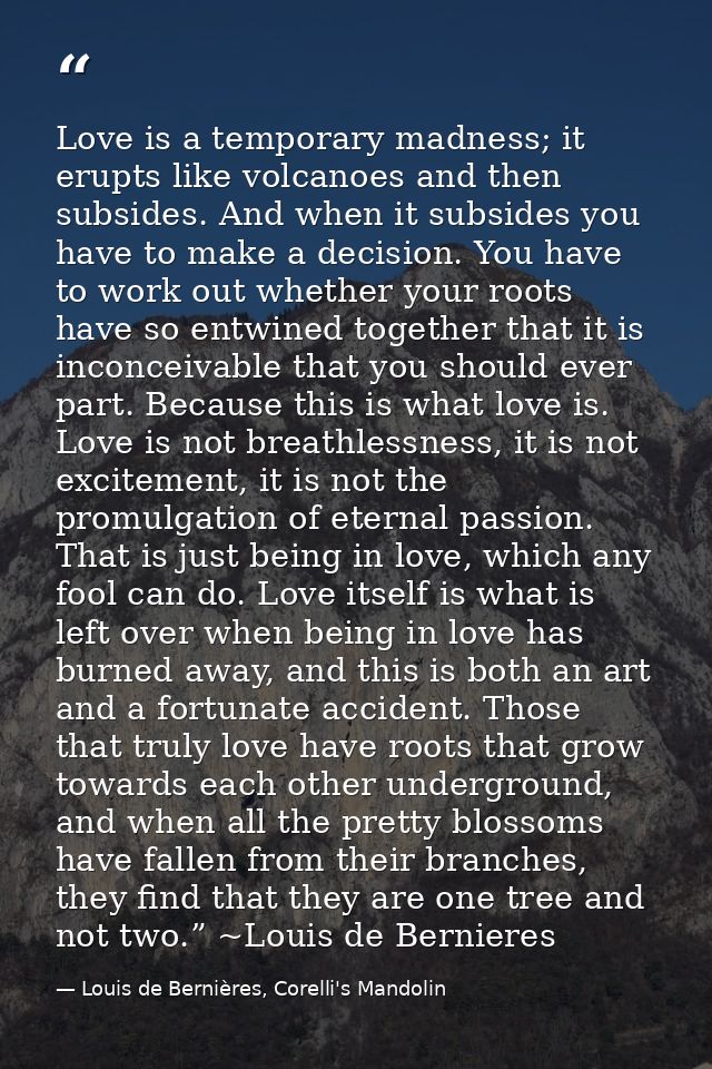 Love is a temporary madness; it erupts like volcanoes and then subsides. And when it subsides you have to make a decisio — Louis de Bernières, Corelli's Mandolin