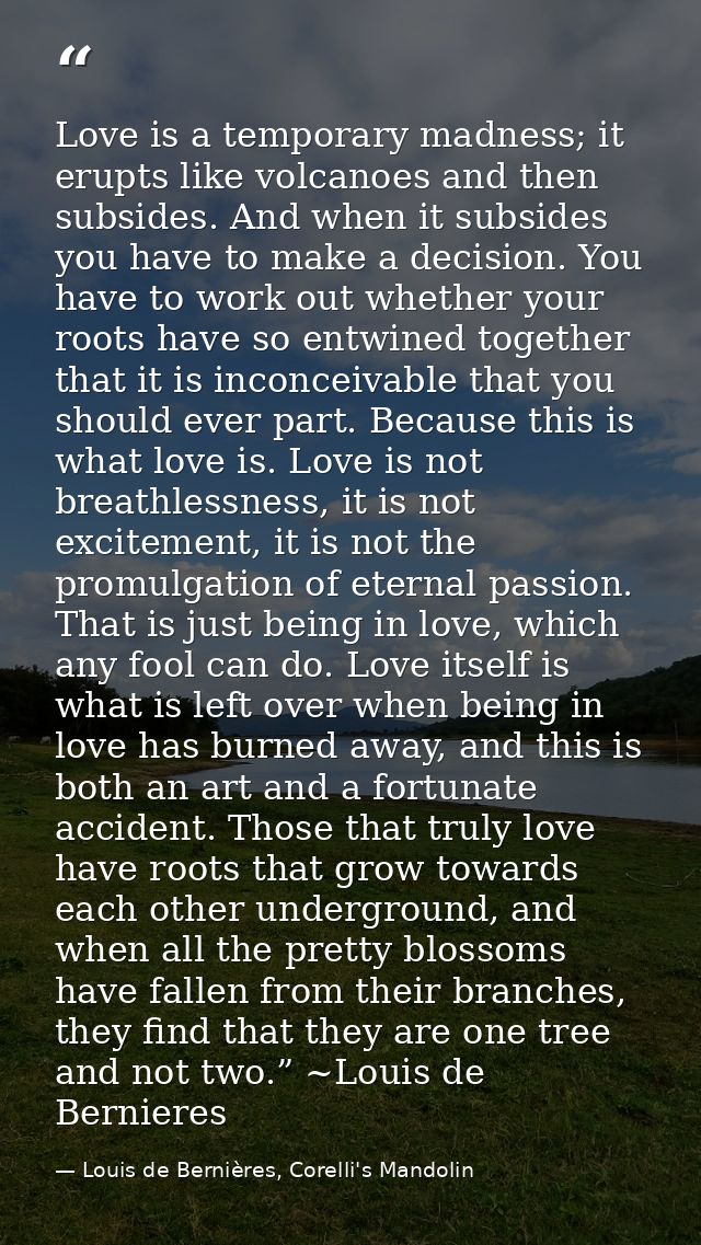 Love is a temporary madness; it erupts like volcanoes and then subsides. And when it subsides you have to make a decisio — Louis de Bernières, Corelli's Mandolin