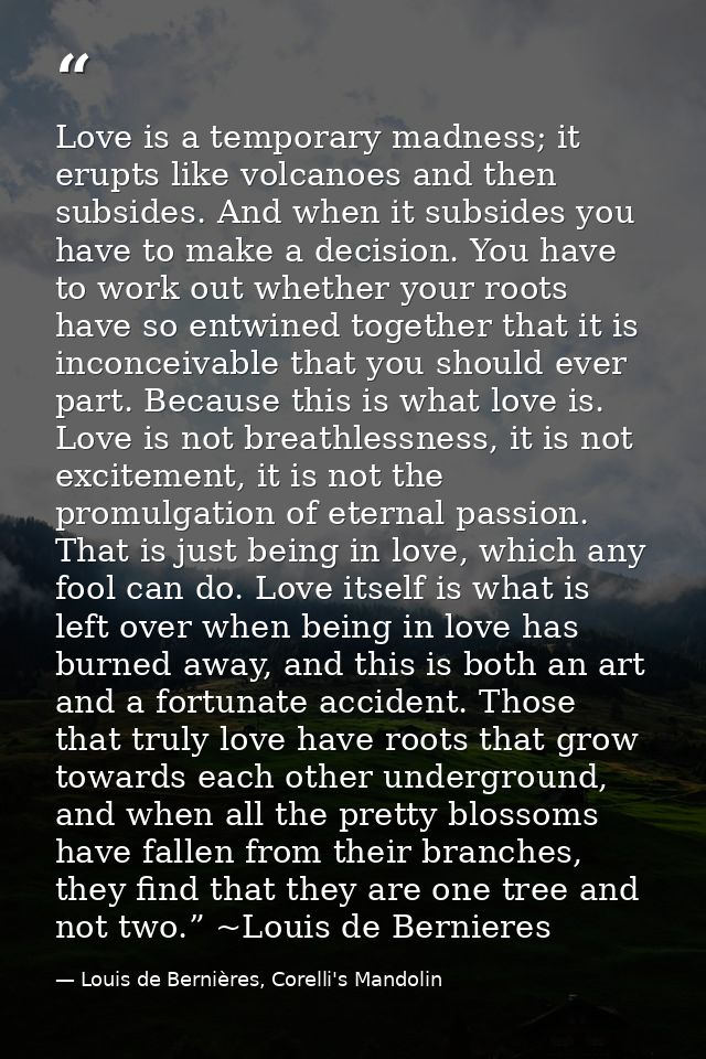 Love is a temporary madness; it erupts like volcanoes and then subsides. And when it subsides you have to make a decisio — Louis de Bernières, Corelli's Mandolin