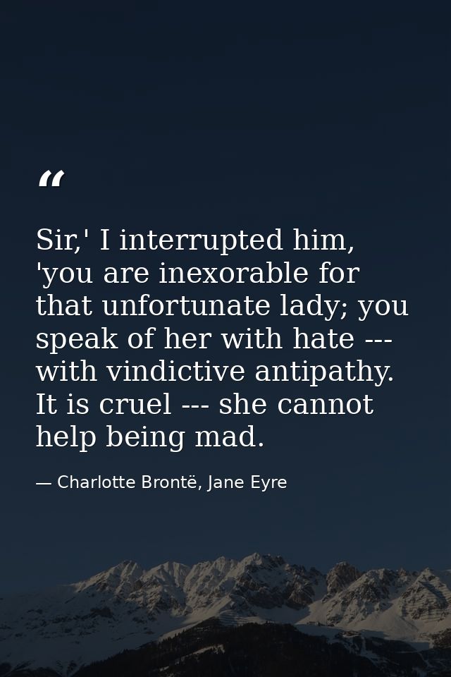 Sir,' I interrupted him, 'you are inexorable for that unfortunate lady; you speak of her with hate --- with vindictive a — Charlotte Brontë, Jane Eyre