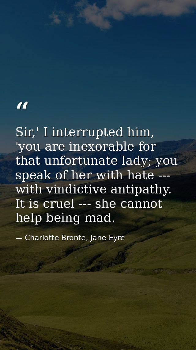 Sir,' I interrupted him, 'you are inexorable for that unfortunate lady; you speak of her with hate --- with vindictive a — Charlotte Brontë, Jane Eyre