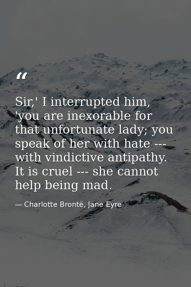 Sir,' I interrupted him, 'you are inexorable for that unfortunate lady; you speak of her with hate --- with vindictive a — Charlotte Brontë, Jane Eyre