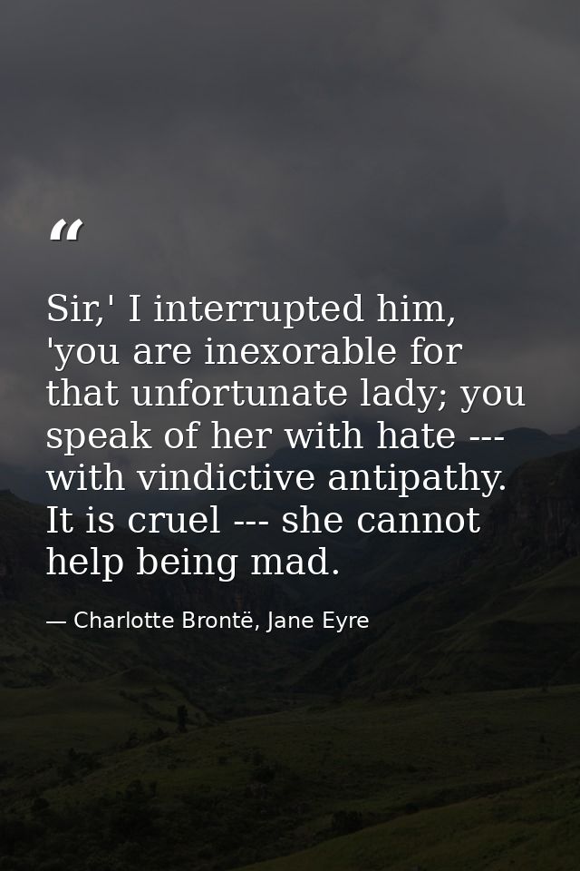 Sir,' I interrupted him, 'you are inexorable for that unfortunate lady; you speak of her with hate --- with vindictive a — Charlotte Brontë, Jane Eyre