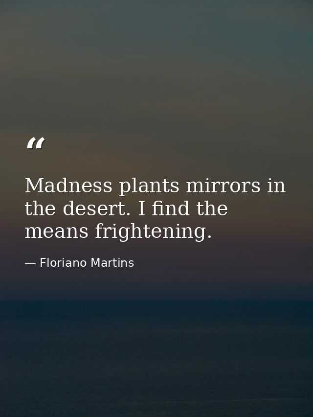 Madness plants mirrors in the desert. I find the means frightening. — Floriano Martins