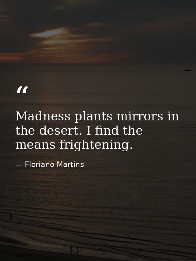 Madness plants mirrors in the desert. I find the means frightening. — Floriano Martins