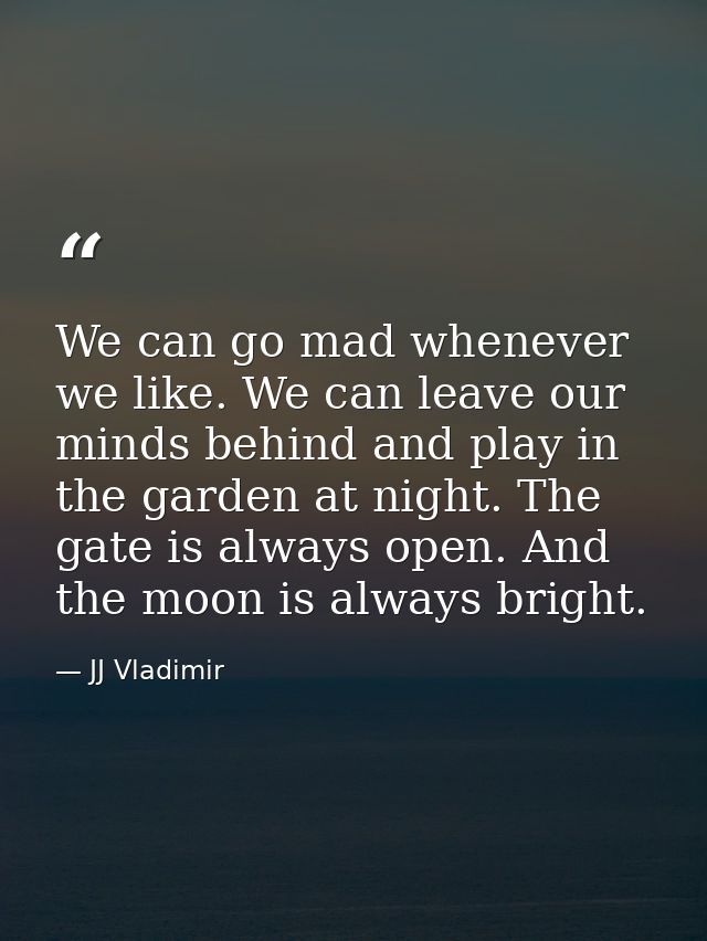We can go mad whenever we like. We can leave our minds behind and play in the garden at night. The gate is always open.  — JJ Vladimir