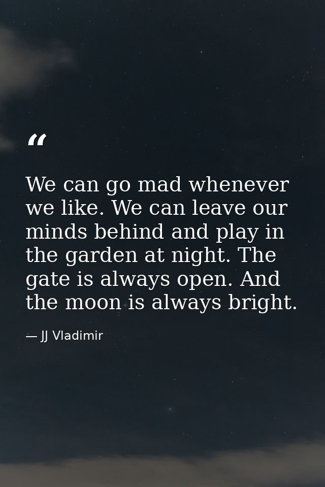 We can go mad whenever we like. We can leave our minds behind and play in the garden at night. The gate is always open.  — JJ Vladimir