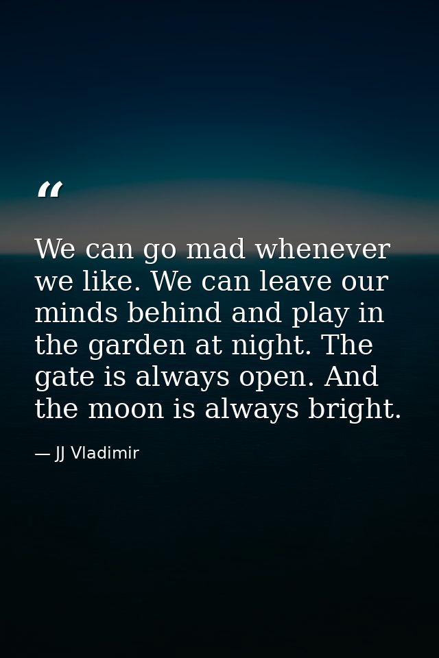 We can go mad whenever we like. We can leave our minds behind and play in the garden at night. The gate is always open.  — JJ Vladimir