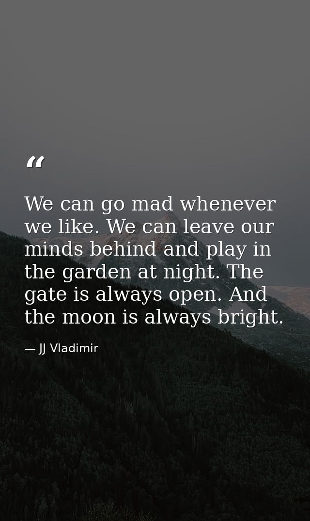We can go mad whenever we like. We can leave our minds behind and play in the garden at night. The gate is always open.  — JJ Vladimir