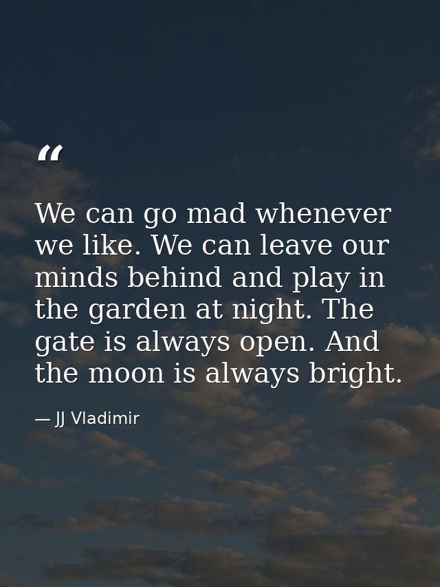 We can go mad whenever we like. We can leave our minds behind and play in the garden at night. The gate is always open.  — JJ Vladimir